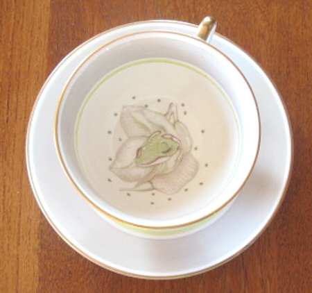 Magnolia Grey (Gold Trim) Footed Cup & Saucer Set