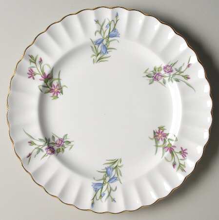 SP305 by Spode