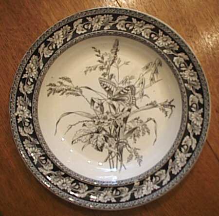 Daisy Black by Spode