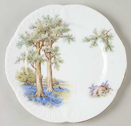 Bluebell Wood (Dainty) by Shelley