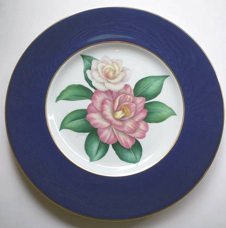 Y6811 by Spode