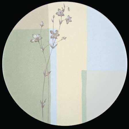 Beginnings by Studio Nova