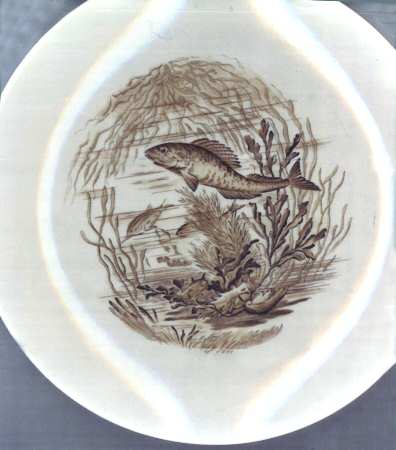 S3173 by Spode