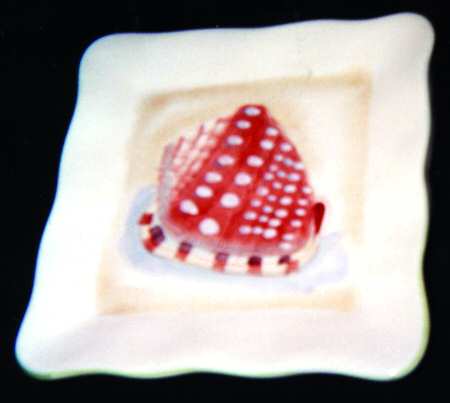 Seashells by Sakura