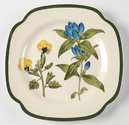 Burgess Botanical (Williamsburg, Green Trim) Square Salad Plate