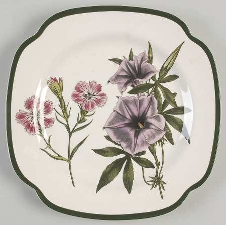 Burgess Botanical (Williamsburg, Green Trim) Square Salad Plate