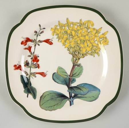 Burgess Botanical (Williamsburg, Green Trim) Square Salad Plate