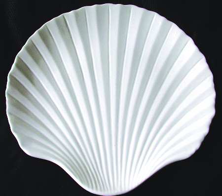 Tabletop White by Studio Nova