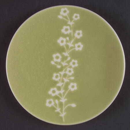 Colorstone Wasabi (Textured) Accent Salad Plate