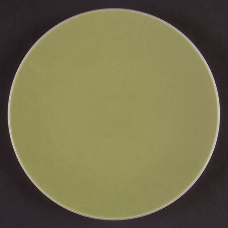 Colorstone Wasabi (Textured) Salad Plate