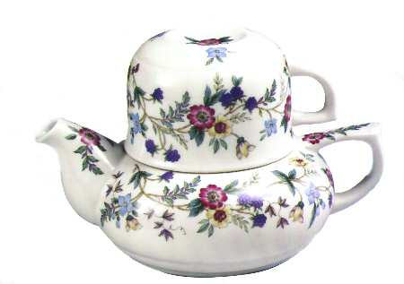 Wild Flowers Individual Teapot & Lid with Cup