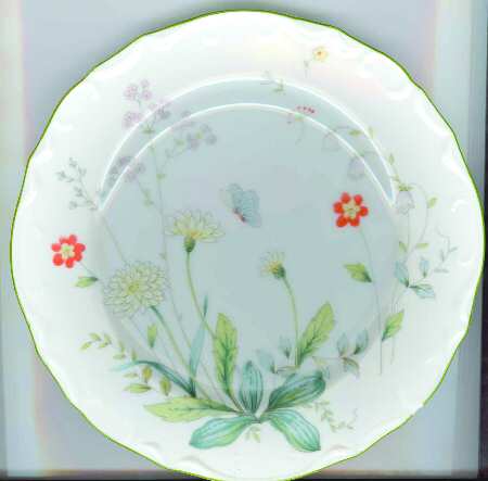 SON74 Dinner Plate