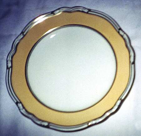 Y5535 Dinner Plate