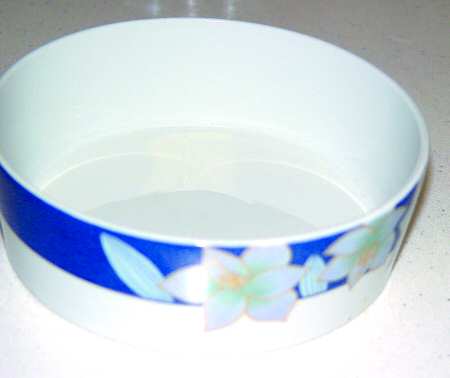 SPZ4 Coupe Cereal Bowl