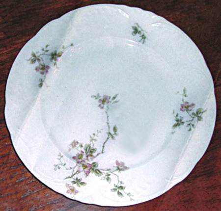 SP21 Dinner Plate