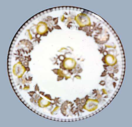 SP362 by Spode