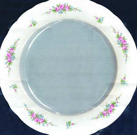 SLT289 Dinner Plate