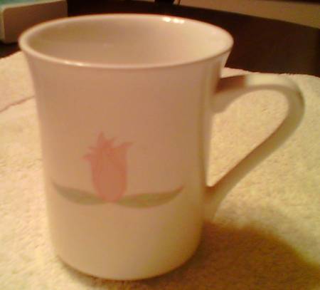 Festa Mug
