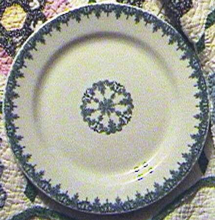 SHO247 Accent Luncheon Plate