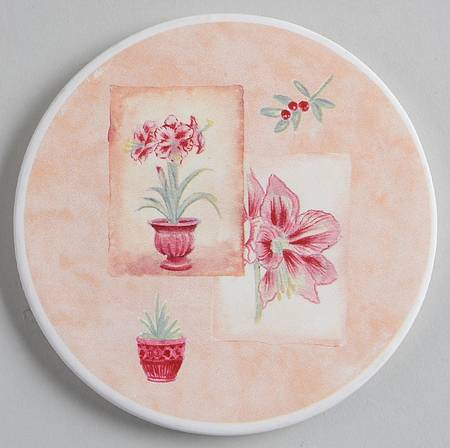 Winter Fields Thirsty Coaster