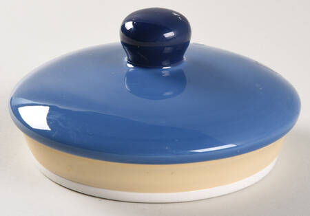 Colorfest II Lid for Medium Canister