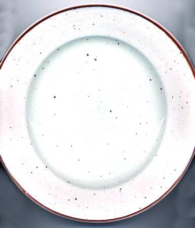 Studio Brown Dinner Plate