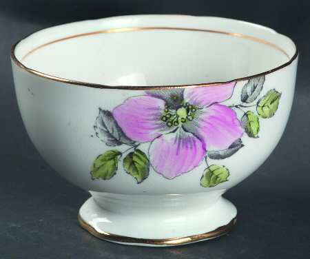 Wild Rose (Pink &amp; Blue) by Salisbury