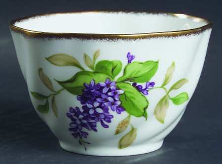 Lilac Festival by Salisbury