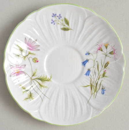 Wild Anemone Saucer