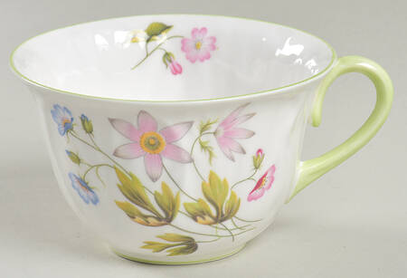 Wild Anemone Flat Cup