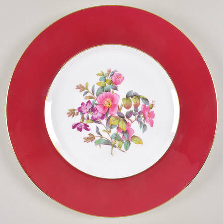Daisy & Rose Dinner Plate by Spode