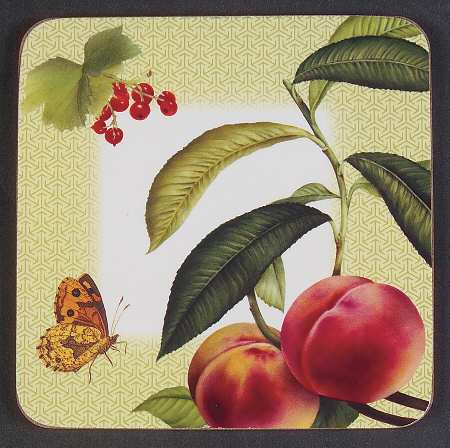 Fruit Haven Square Corkback Coaster