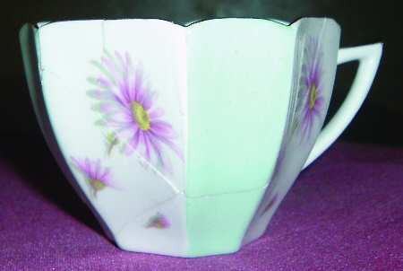 SHE54 Flat Cup