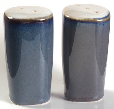 Concepts Eggplant Salt & Pepper Set by Sango