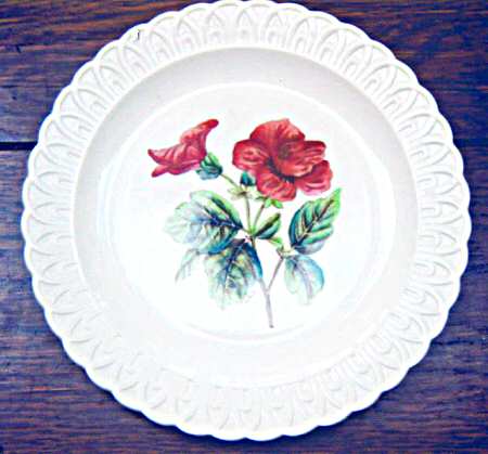 Geranium by Spode