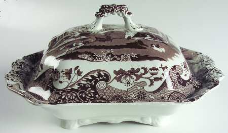 Italian Brown by Spode