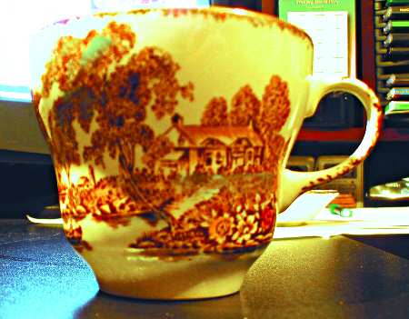 The Ferry Brown Multicolor (Gold Trim) Flat Cup