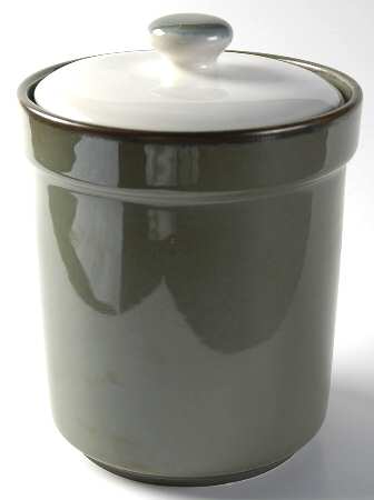 Visions Avocado Large Canister & Lid