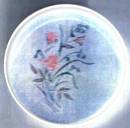 STT316 Dinner Plate