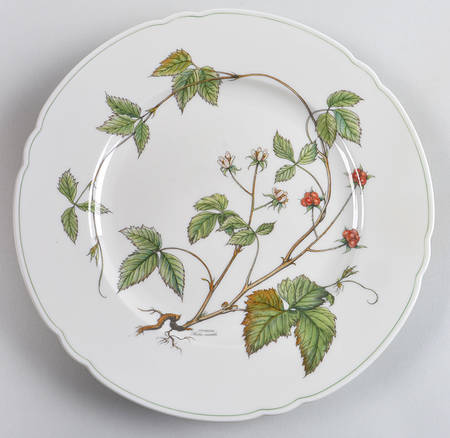Waldbeere Ivory Large Dinner Plate
