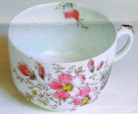SP23 Flat Cup