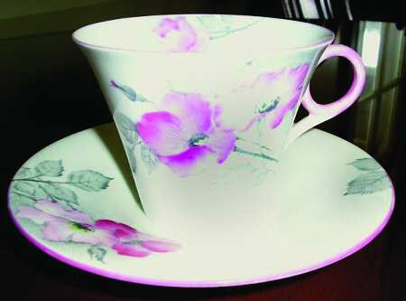 Dog Roses Pink Flat Cup & Saucer Set