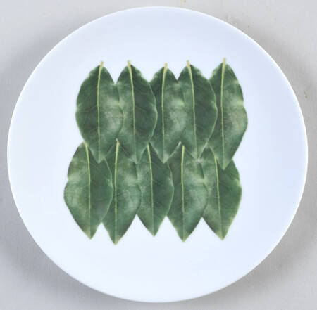 Herb Delight Salad Plate