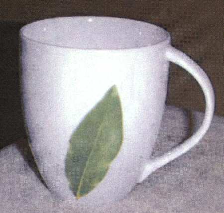 Herb Delight Mug