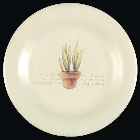 SOG9 Salad Plate