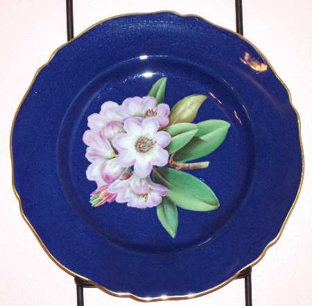 Rhodoendron Blue by Spode