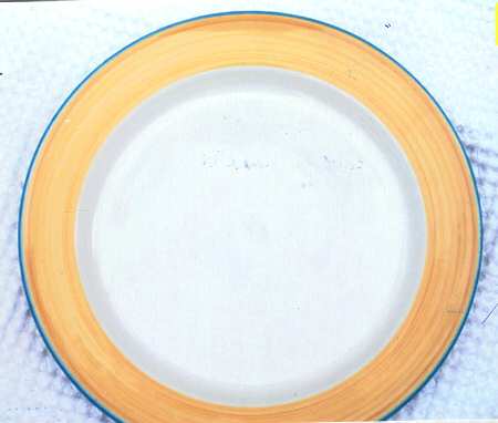 Rio Dinner Plate
