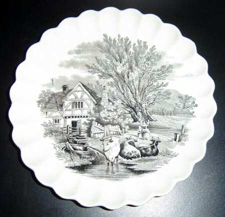 SP505 by Spode