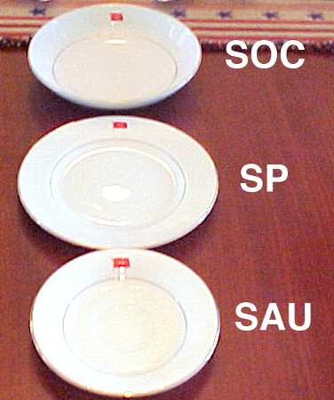 SEI17 Saucer
