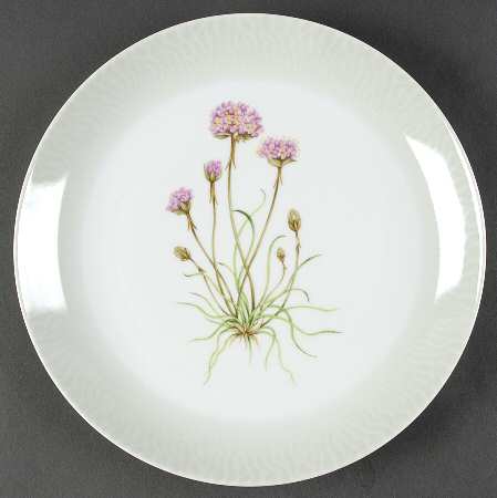 Shoreline by Spode